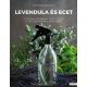 Munkácsi Brigitta: Levendula és ecet