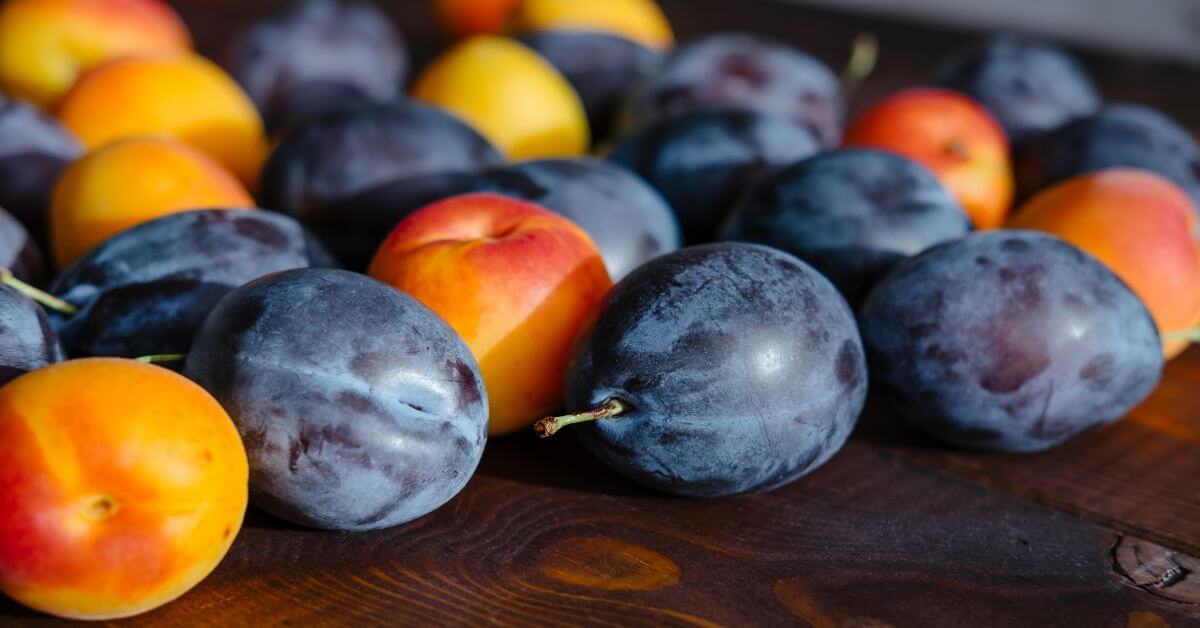 Ha a mennyiség a fontos - melyik gyümölcsből lesz a legtöbb pálinka?